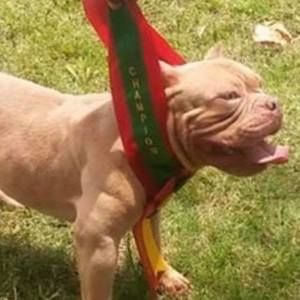 Meet your Posher, Claudio